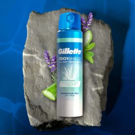 Gillette Aluminum Free ODOR SHIELD Men's Spray Woodland Falls + Aloe Vera, 4.3 oz - Gillette