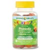 Spring Valley Kids' Probiotic + Prebiotic Vegetarian Gummies;  60 Count - Spring Valley