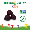 Spring Valley Kids' Elderberry Gummies;  120 Count - Spring Valley