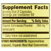 Spring Valley Echinacea Immune Health Dietary Supplement Vegetarian Capsules, 760 mg, 100 Count - Spring Valley