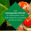 Nature's Bounty Anxiety & Stress Relief Supplement;  Ashwagandha KSM 66;  50 Count - Nature's Bounty