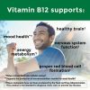 Nature Made Vitamin B12 1000 mcg Softgels;  Dietary Supplement;  270 Count - Nature Made