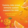 Nature's Bounty Kids Vitamin C;  D & Zinc for Immune Support Jelly Beans;  80 Count - Nature's Bounty